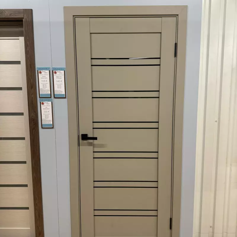 Durvis Dominica BLK Šellgrey PP Premium