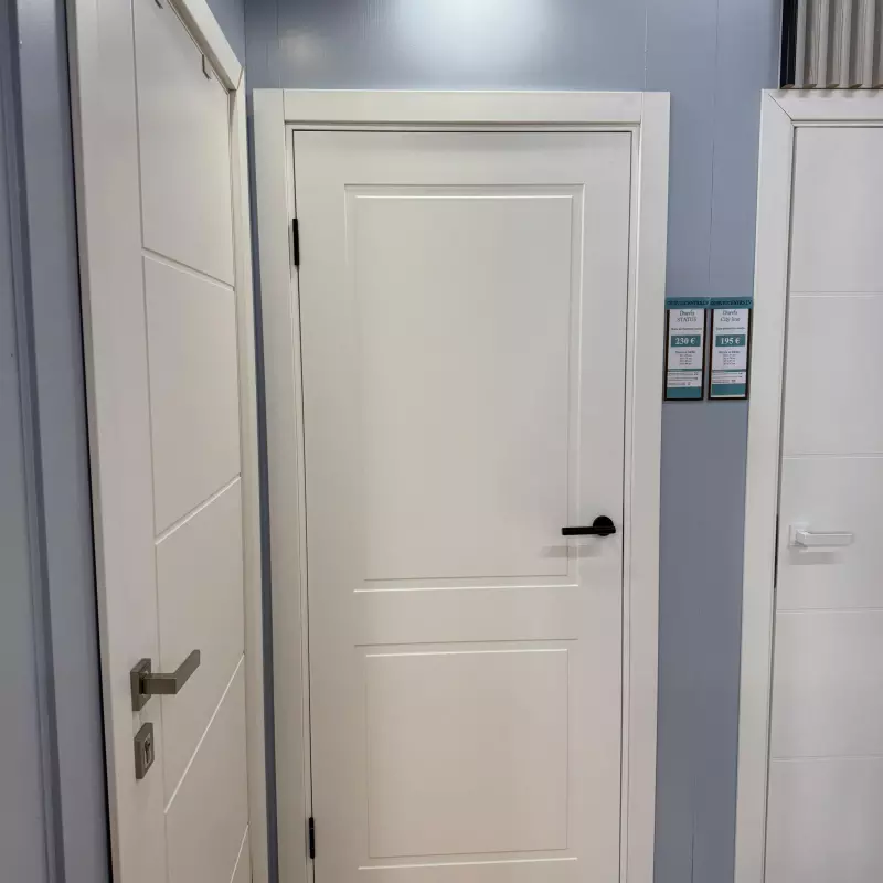 Durvis Status (TESLINE) Balta emalja RAL 9003