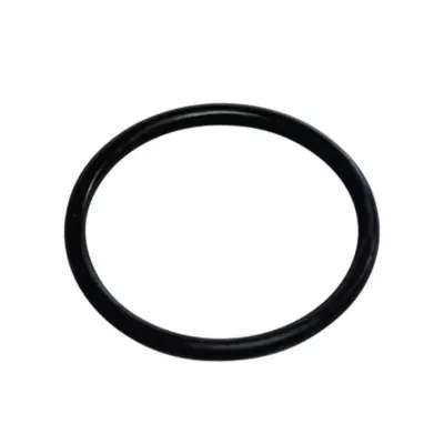 Ūdens filtru gaisa/izplūdes skrūve/noslēgs ar blīvgredzenu