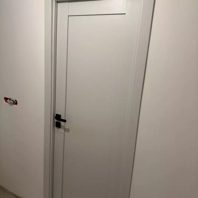 Durvis Selina (FM00) Gaiši pelēks PP Premium